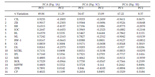 Percentage of explained variation and loadings of the first two principal components of the PCAs conducted on 5 species of Neacomys. Abbreviations of the measurements are explained in the text and Table S1 and PCAs are depicted in Figs. 3A, C and E.