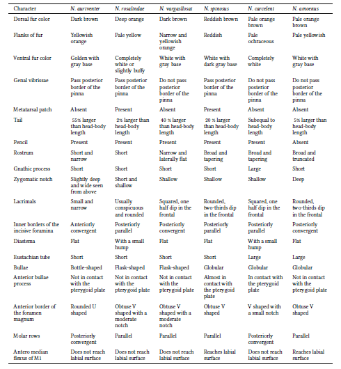 Comparison of N. auriventer sp. nov. with selected Neacomys species.