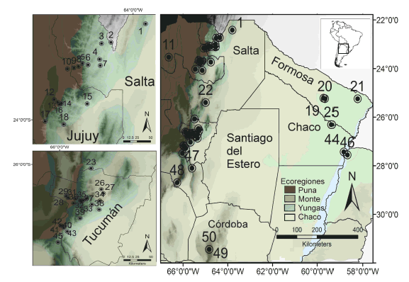 Localidades de procedencia de los roedores analizados mediante el gen mitocondrial Citocromo Oxidasa Subunidad 1 (COI) en el norte argentino. Para la referencia de las localidades, v�ase el AP�NDICE 1.