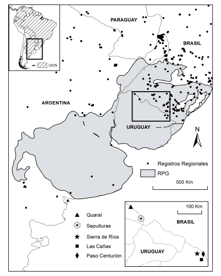 Registros de ocurrencia de Herpailurus yagouaroundi en el extremo sur de su distribuci�n (Da Silva et al. 2016; Espinosa et al. 2017) con �nfasis en aquellos documentados recientemente para Uruguay (recuadro en �ngulo inferior derecho): Paso Centuri�n (Grattarola et al. 2016), Sierra de R�os y Las Ca�as (Prigioni et al. 2020) y Arroyo Sepulturas (este trabajo); adem�s, se se�alan registros fronterizos del lado brasile�o en Quara� (Indrusiak & Eizirik 2003) y sobre el r�o Yaguar�n (�lvarez & Magallanes 2020). RPG = Pastizales del R�o de la Plata.