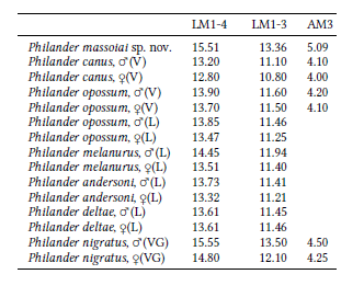 Comparaci�n entre algunas medidas dentarias (en mm) de Philander massoiai sp. nov. y varias especies vivientes del g�nero. L, largo, A, ancho. Las especies vivientes est�n discriminadas entre machos y hembras. Las medidas fueron obtenidas de Voss et al. (2018: tabla 9; "V"), Voss & Giarla (2020: tabla 2; "VG") y Lew et al. (2006: Ap�ndice II, "L"). Los valores de todas las medidas para cada una de las categor�as de las especies vivientes representan el promedio de varios individuos.