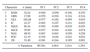 Measurements obtained of the archaeological specimen of Didelphis pernigra found in the monastery del Carmen Alto, Quito, Ecuador, and percentage of explained variation and loadings of the first four principal components of the PCA conducted on six species of Didelphis. Abbreviations: breadth across molars (BAM), greatest breadth of nasals (GBN), greatest length of skull (GLS), interorbital constriction (IC), length of mandible (MAD), length of maxillary tooth row (MAX), length of nasals (NAS), postorbital constriction (POC), and zygomatic breadth (ZB).