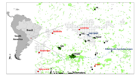 Location of the Londrina region, Paran� state, Southern Brazil. Black dots: areas sampled for bats PMAT &ndash; Parque Municipal Arthur Thomas (Latitude: -23.344167, Longitude: -51.133500); PEMG &ndash; Parque Estadual Mata dos Godoy (Latitude:-23.448056, Longitude: -51.255833); UEL &ndash;Universidade Estadual de Londrina campus and Horto Florestal (Latitude: -23.321944, Longitude: -51.201111); JBL &ndash; Jardim Bot�nico de Londrina (Latitude: -23.366000, Longitude: -51.177700); MB &ndash; Mata do Bule (Latitude: -23.403000, Longitude: -51.337000); FR &ndash; Fazenda Regina (Latitude: -23.183806, Longitude: -51.127694), FI, CK, CV &ndash; Fazenda Imba�va, Ch�cara Kanashiro and Ch�cara Vit�ria (Latitude: -23.380144, Longitude: -51.076219).