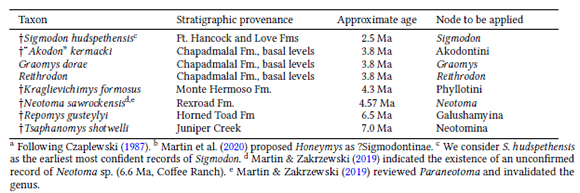 Recommended taxa (chronologically ordered) to be used as confident calibration points in phylogenetic studies based on the most current, well documented radioisotopic, magnetostratigraphic and biostratigraphic evidence. The authors of this study differ in defining the status of some taxa, we provide them with their approximate age and node to be applied: Jacobsomys verdensis (4.3 Ma, ?Sigmodontinaea), Sigmodon minor/medius (4.6 Ma, Sigmodon), Honeymys esmeraldensis (11.7 Ma, ?Sigmodontinaeb).