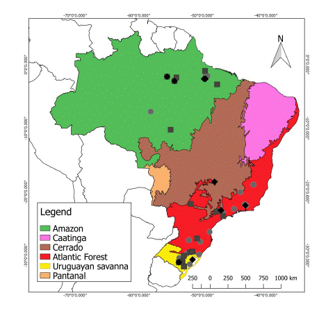 Geographic distribution of Herpailurus yagouaroundi specimens analyzed (squares: males, diamonds: females, circles: unsexed), indicating their ecoregions of origin.