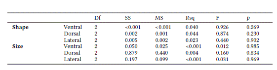 Results of Procrustes ANOVA test for the interaction between sex and ecoregion on cranial shape and size of Herpailurus yagouaroundi specimens from Brazil. Degrees of freedom (Df), sum of squares (SS), mean squares (MS), coefficient of determination (R-squared; Rsq), F value and significance (p).