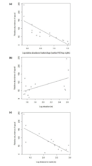 Comparison of coarse-scale covariates versus the relative abundance of agouti: (a) hunting, (b) elevation, and (c) distance to roads.