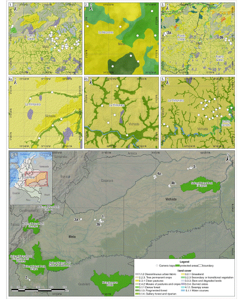 Surveys in the five localities of the Colombian Altillanura. Circles represent the camera traps installed in the sampling station. The installation follows the riparian forest cover in the departments of Meta and Vichada.