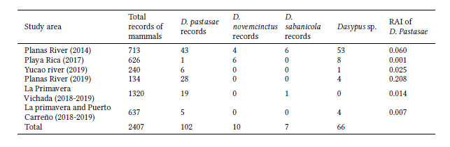 Results of the camera trapping carried out in the departments of Meta and Vichada, with the respective relative abundance of D. pastasae per site.