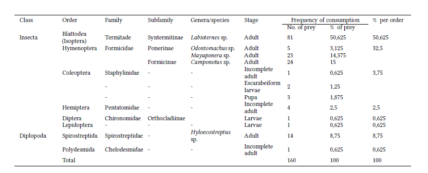 Stomach content of an individual D. pastasae found dead in Playa Rica, La Macarena, Meta.