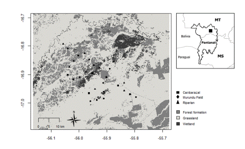 Map of the study area, Fazenda Santa Lucia, MT, Brazil, in the Pantanal Biome, with the locations of the sampling sites for each habitat type.