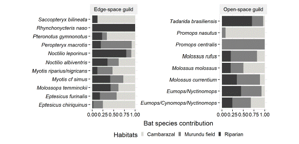 Species composition grouped by guild in the three habitats surveyed: Cambarazal, Murundu field and Riparian area. The size of the bars represents the proportion of each species in the sampled habitat.