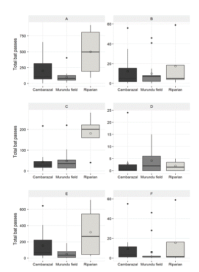 A) Total foraging bat activity, B) total bat feeding activity, C) total open-space guild foraging activity, D) total open-space guild feeding activity, E) total edge-space guild foraging activity and F) total edge-space guild feeding activity in the three sampled habitats. The y-axis corresponds to the number of bat-passes in 30-min intervals (the box represents the first quartile, the second quartile - median, and the third quartile, whiskers indicate the minimum and maximum disregarding outliers, the open circle represents the mean and black dots represents the outliers).