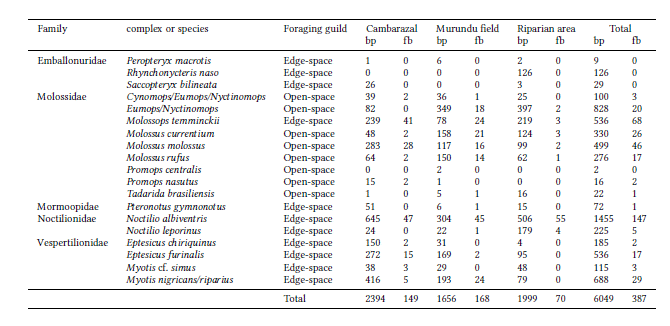 Number of total bat passes and total feeding buzzes per habitat for the species identified in the study area and the respective foraging guild. Abbreviations: bp (bat passes) and fb (feeding buzz).