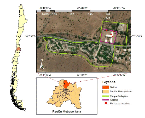 Sitios de captura dentro del Parque Quilapil�n, comuna de Colina, Regi�n Metropolitana, Chile central.