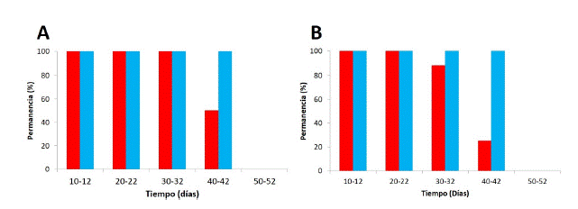Permanencia de marcas temporales (rojo: tintura; celeste: perforaci�n del patagio) para las especies: (A) Myotis chiloensis y (B) Tadarida brasiliensis.