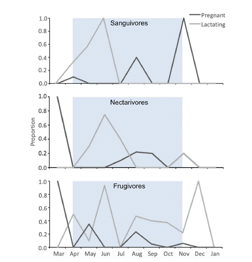 Female reproductive phenology of Phyllostomidae. Proportions are based on the total number of pregnant or lactating females per total number of adult females in each month between March 2014 and January 2015. The shaded area indicates the local wet season.