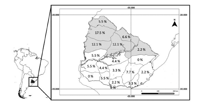 Geographical location of República Oriental del Uruguay and percent of surveys made in each state of the northern region (grey) and southern region (white) of the country (N = 91).