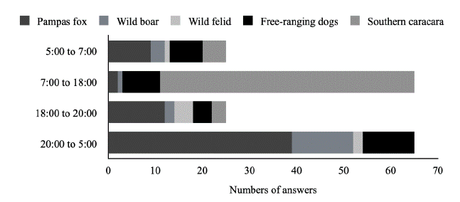 Distribution of predator attacks along the day in Uruguay according to farmers’ perception.
