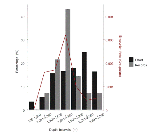 Percentage of observation effort (black bars) and Risso&rsquo;s dolphin groups (gray bars), and encounter rate (red line) of groups per kilometer surveyed (groups/km) according to seven depth intervals.