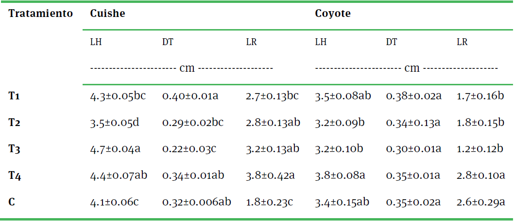  Efecto de coinóculos bacterianos solubilizadores de
fosfato en la longitud de la hoja (lh),
diámetro de tallo (dt) y longitud
de la raíz más larga (lr) en
plántulas de agave cuishe y coyote