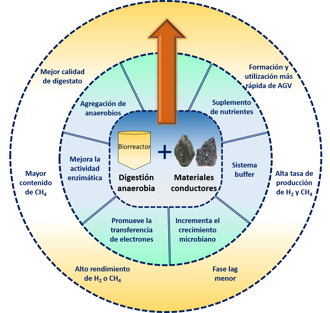Ejemplo de procesos en los que participan y favorecen los materiales conductores durante la digesti�n anaerobia y su impacto en la productividad de metano y otros productos.
