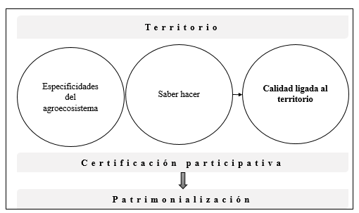 Ruta crtica para la patrimonializacin territorial