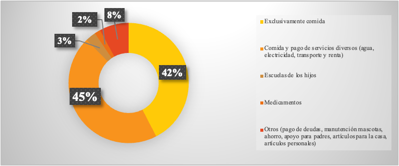 Gasto del ingreso obtenido por la pepena