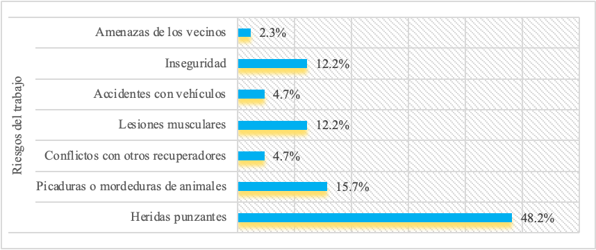 Riesgo de trabajo manifestado por pepenadores en León