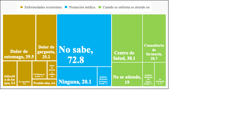 Salud manifestada por pepenadoras y pepenadores (%)