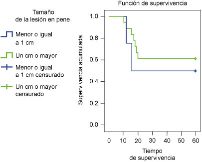 Supervivencia de pacientes con cáncer de pene según el tamaño de la lesión al momento del diagnóstico