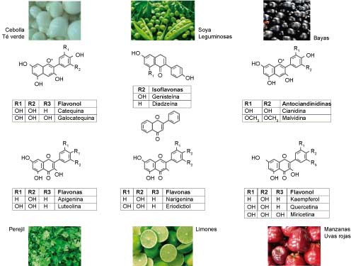 Estructura, clasificaci&oacute;n y fuente de flavonoides