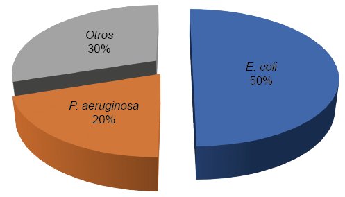Bacteriología de la Infección de vías urinarias asociadas a catéter urinario