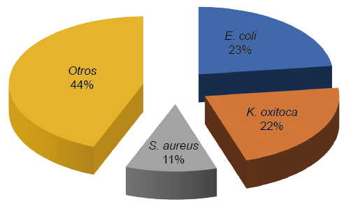 Bacteriología de la infección del torrente sanguíneo