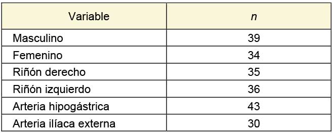 Número de pacientes correspondiente al sexo, lado del riñón y arterias usadas para la anastomosis