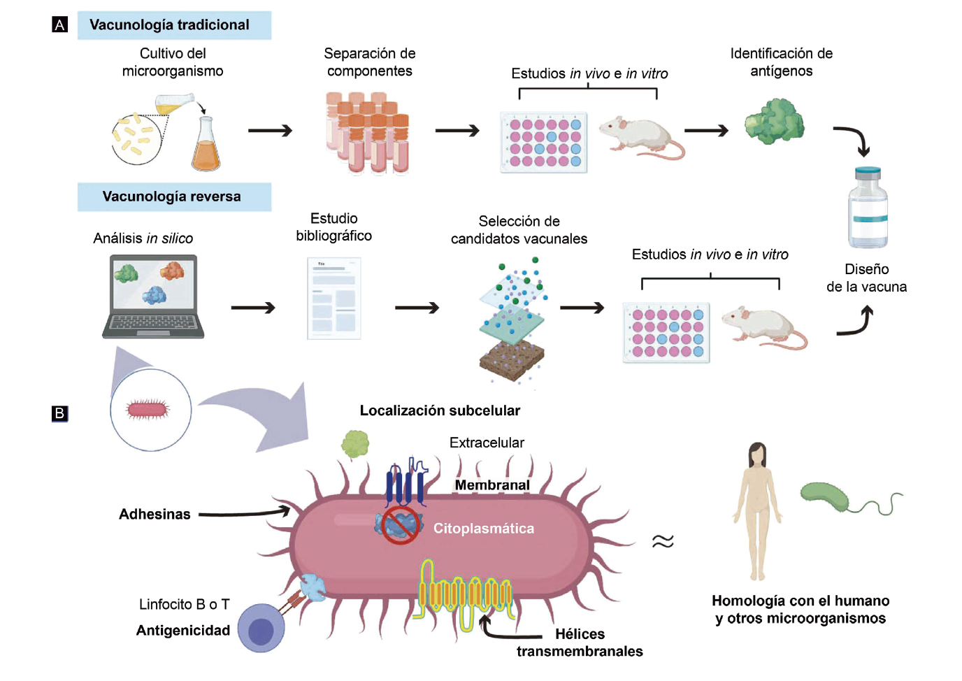 Caractersticas de la vacunologa reversa