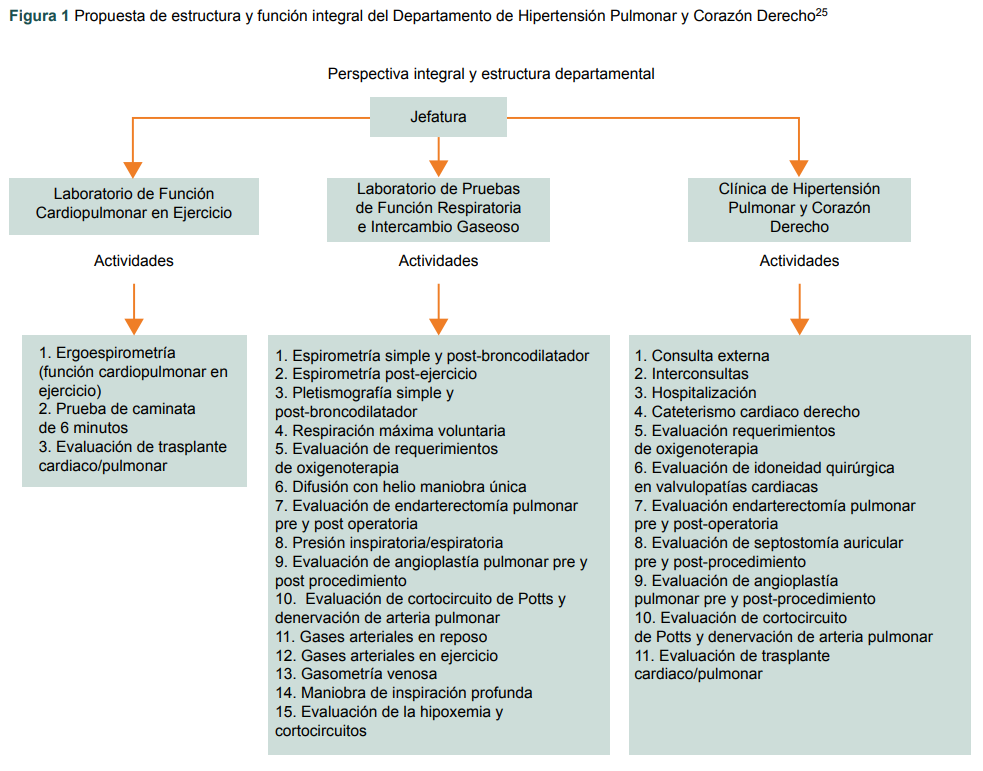 Propuesta de estructura y funci�n integral del Departamento de Hipertensi�n Pulmonar y Coraz�n Derecho