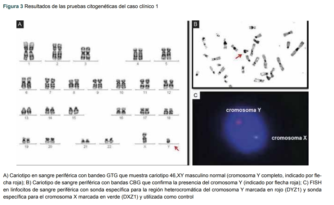 Resultados de las pruebas citogenéticas del caso clínico 1