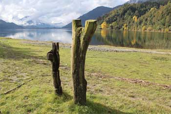 Dos rewe en ngillatuwe de comunidades Juan Quintum&aacute;n e Inalafqu&eacute;n en la ribera del lago Neltume.