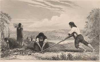 Representaci&oacute;n del volteo a lumas en 1834