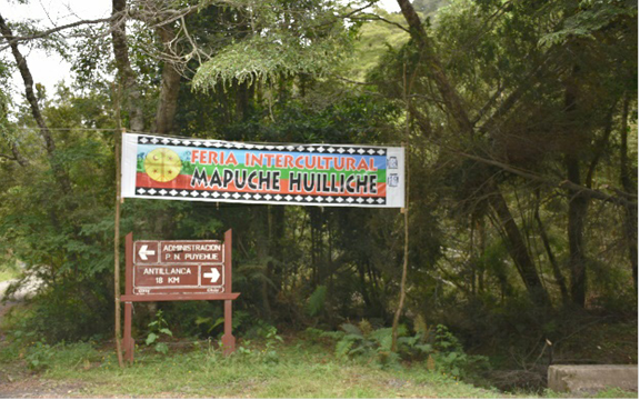 Feria intercultural al interior del Parque Nacional Puyehue realizada por la comunidad Llanquileo en defensa de la cultura y territorio