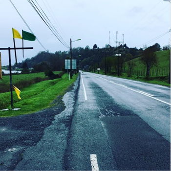 Camino Entre Lagos y Puyehue