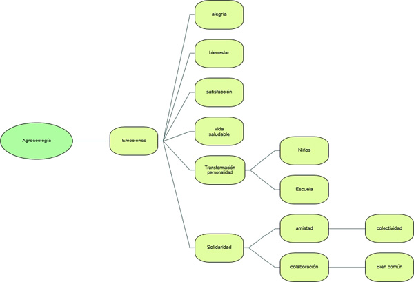 Emociones manifestadas por las y los entrevistados