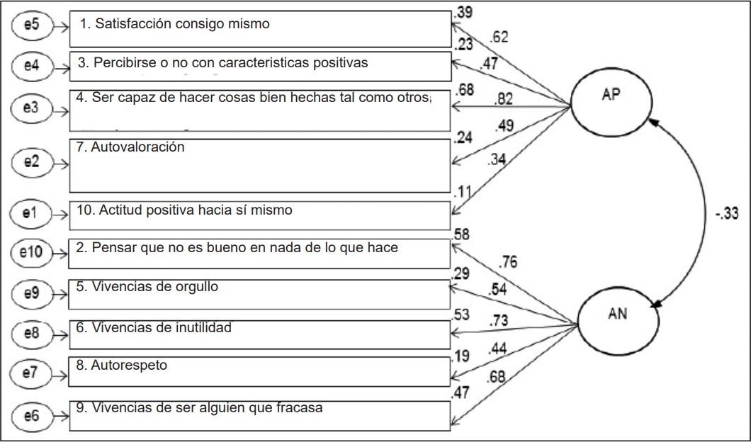 Modelo de dos factores de la EAR para adultos mayores. AP= autoestima positiva,
AN= autoestima negativa.