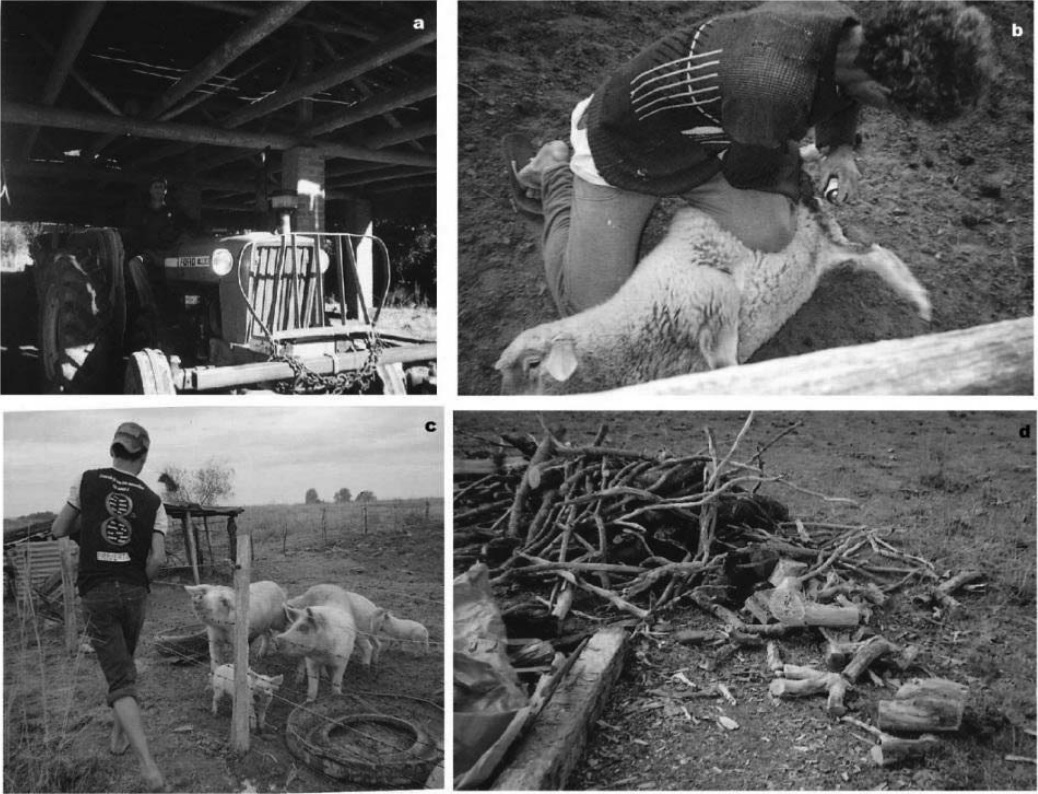 Fotos que representan las percepciones sobre hombre y padre: a) Camila, 14 años, Región centro
occidental; b) Luana, 14 años, Región sudeste; c) Felícia, 16 años, Región centro sur; d) Luana,
14 años, Región sudoeste.
