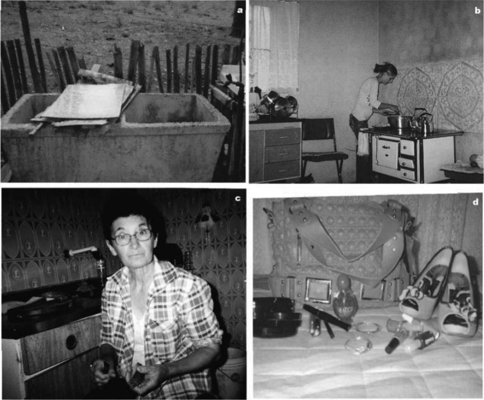 Fotos que representan las percepciones sobre el rol de Mujer y Madre: a) Luana, 14 años,
Región sudoeste; b) Miriam, 15 años, Región oriental; c) Andressa, 15 años, Región centro
occidental; d) Rosane, 17 años, Región centro oriental.