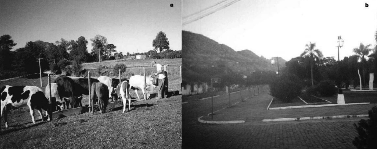 Fotos que representan algunas de las percepciones sobre lo rural y lo Urbano: a) Juana, 14 años. Región sudoeste;
b) Camila, 14 años. Región occidental.