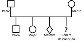 Símbolos generalmente propuestos en la confección de genogramas familiares. Copiado de GenoPro© http://genopro.com