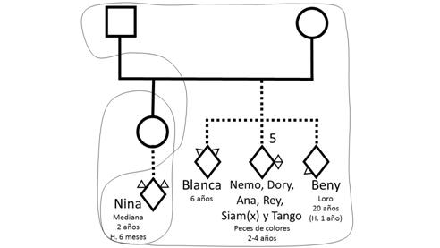 Ejemplo de registro de información básica dentro de una configuración familiar humano-animal con múltiples tipos de animales. Tomando el caso anterior, un año tarde, observamos que la hija ya no convive con sus padres y hace 6 meses ha adoptado una perra (Nina) mediana de dos años. Uno de los peces de sus padres (Siam) ha muerto, y adicionalmente, han adoptado hace un año un loro (Beny) de 20 años. Si bien la custodio de Nina es la hija, la perra pasa gran parte del día con los padres de la joven y, en ocasiones, fines de semana completos.