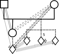 Ejemplo de la representación gráfica de distintos tipos relacionales en un genograma familiar. Incorporamos la dinámica al caso mencionado en la Figura 10. Aquí, Nina, la perra de la hija queda frecuentemente a cargo de la madre de la joven custodio. Mientras que el padre de la joven no establece un vínculo con la perra, la madre ha desarrollado una relación cercana, aunque conflictiva con esta. Además, Nina se muestra agresiva con los demás animales de la casa. Esta situación ha detonado conflictos entre la joven y su madre, quien se queja de tener que hacerse cargo de las responsabilidades de su hija. Por otro lado, el padre se muestra afectivo e indulgente con la joven.